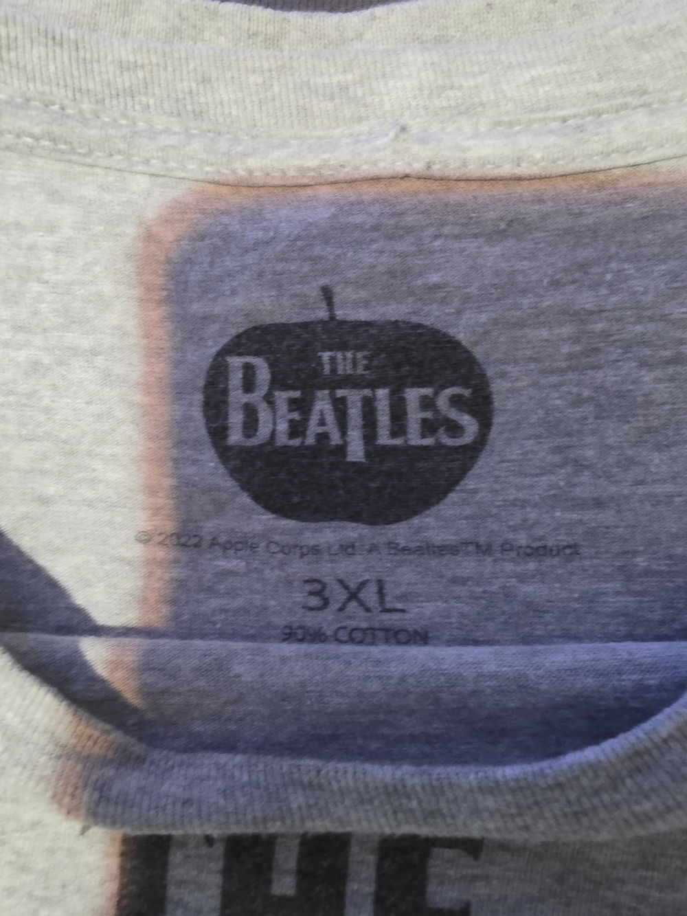 The Beatles Graphic Tee in Heather Gray